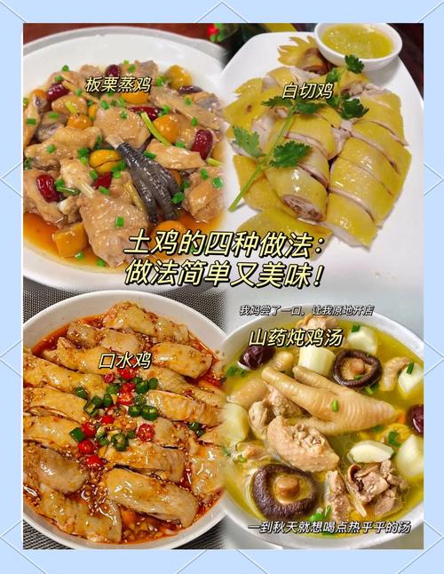 土鸡家常做法有哪些?-图1 土鸡家常做法有哪些?-图1