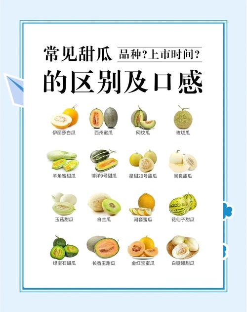 海鲜后吃甜瓜会中毒吗?-图3 海鲜后吃甜瓜会中毒吗?-图3