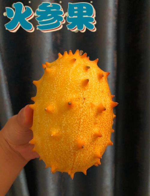 1岁宝宝上火吃什么水果-图1