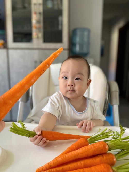 六个月宝宝能吃胡萝卜吗?-图1 六个月宝宝能吃胡萝卜吗?-图1