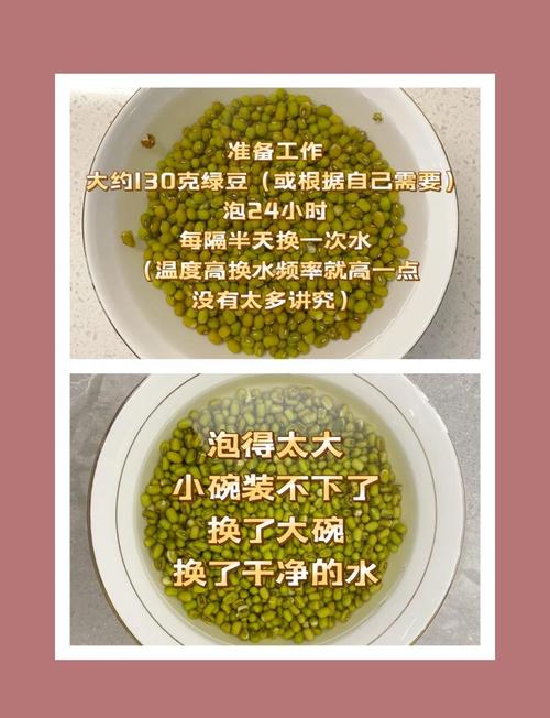 家常煮豆芽做法有哪些?-图2 家常煮豆芽做法有哪些?-图2