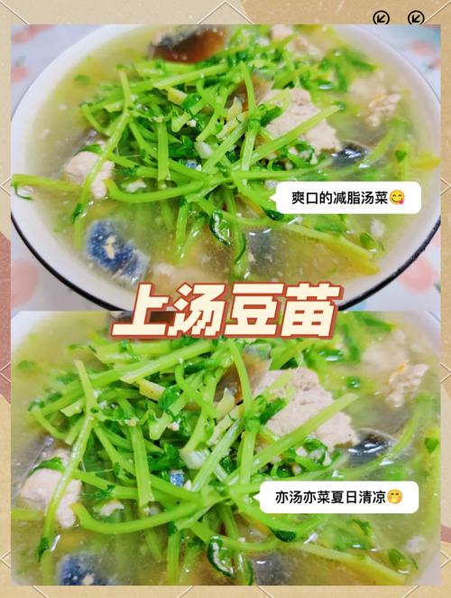 家常煮豆芽做法有哪些?-图1 家常煮豆芽做法有哪些?-图1