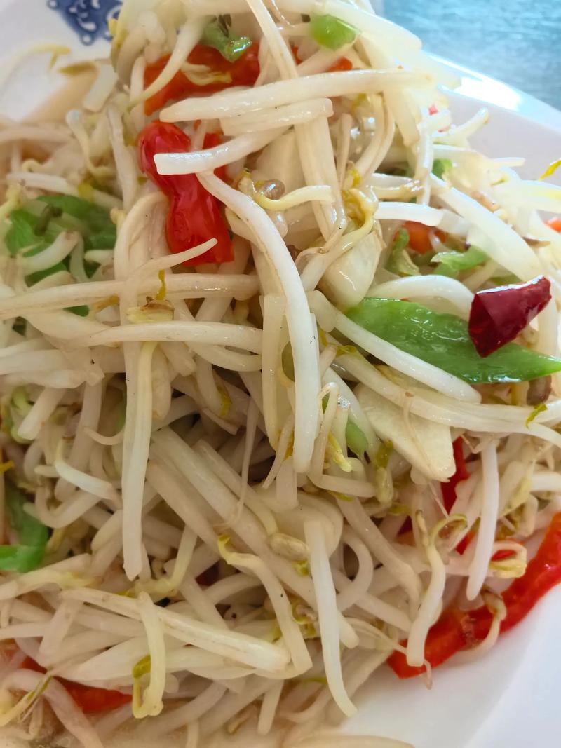 家常煮豆芽做法有哪些?-图3 家常煮豆芽做法有哪些?-图3