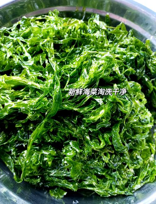 海发菜家常做法有哪些?-图1 海发菜家常做法有哪些?-图1