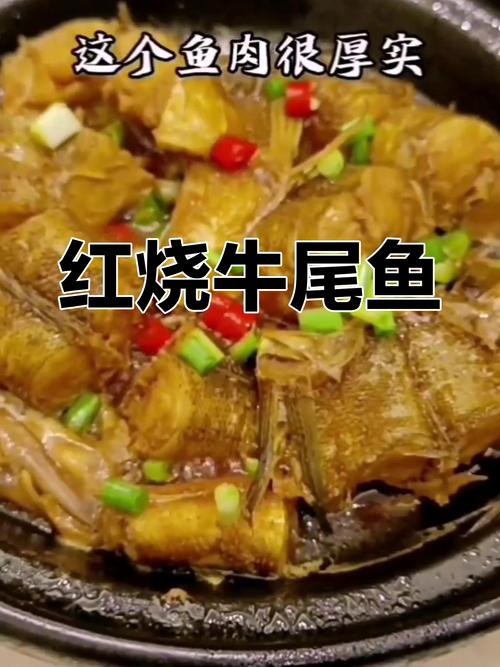 牛尾鱼家常做法有哪些?-图1 牛尾鱼家常做法有哪些?-图1