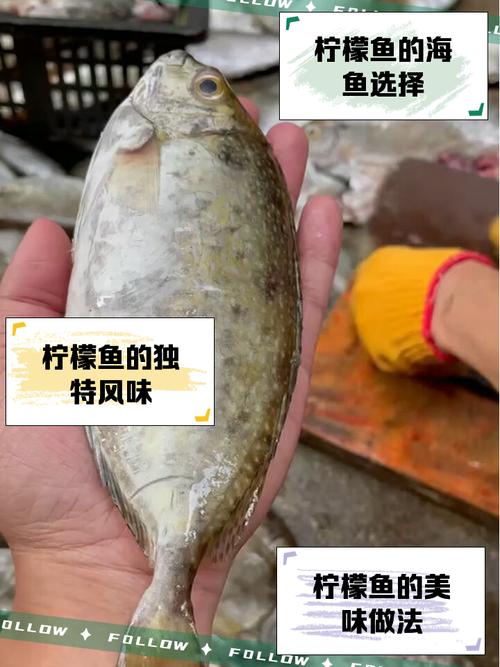 海鲜柠檬鱼怎么做才够鲜嫩?-图1 海鲜柠檬鱼怎么做才够鲜嫩?-图1