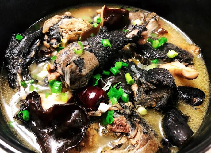 家常乌鸡怎么炖最营养?-图1 家常乌鸡怎么炖最营养?-图1