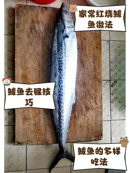 家常炸鲅鱼怎么做?做法大全在这里!-图3 家常炸鲅鱼怎么做?做法大全在这里!-图3