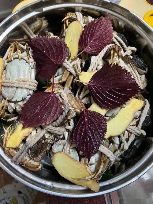 孕妇吃紫苏炒海鲜安全吗？-图2