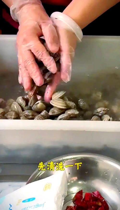 海鲜蚬子怎么快速去沙吐净?-图1 海鲜蚬子怎么快速去沙吐净?-图1