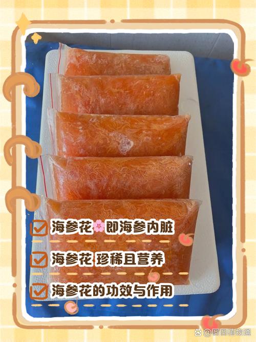 海参花家常做法有哪些?-图1 海参花家常做法有哪些?-图1