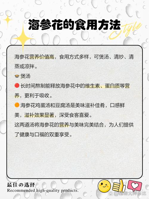 海参花家常做法有哪些?-图3 海参花家常做法有哪些?-图3