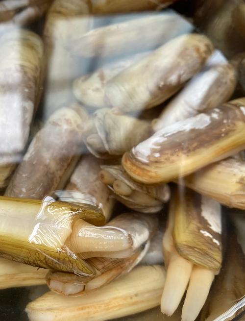 蛏子图片怎么做家常美味？-图2