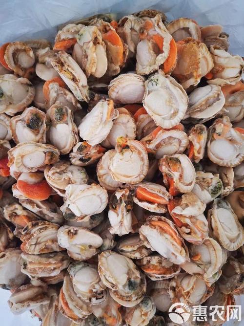 冬天能吃哪些海鲜?-图1 冬天能吃哪些海鲜?-图1