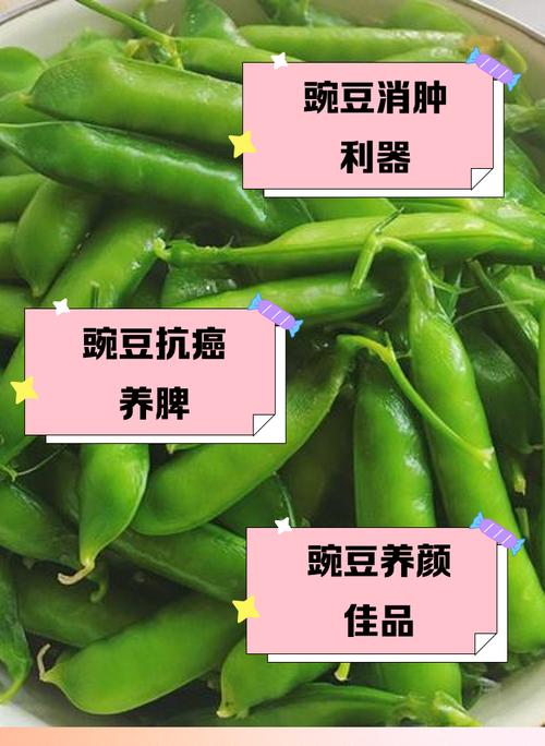 7月宝宝能吃豌豆吗？-图3