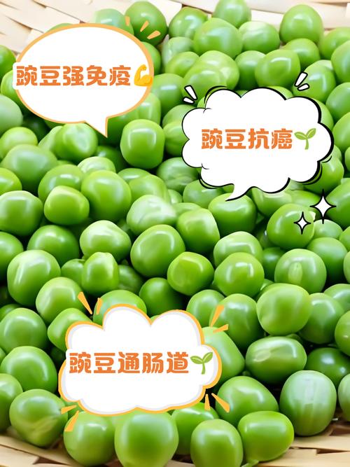 7月宝宝能吃豌豆吗?-图1 7月宝宝能吃豌豆吗?-图1