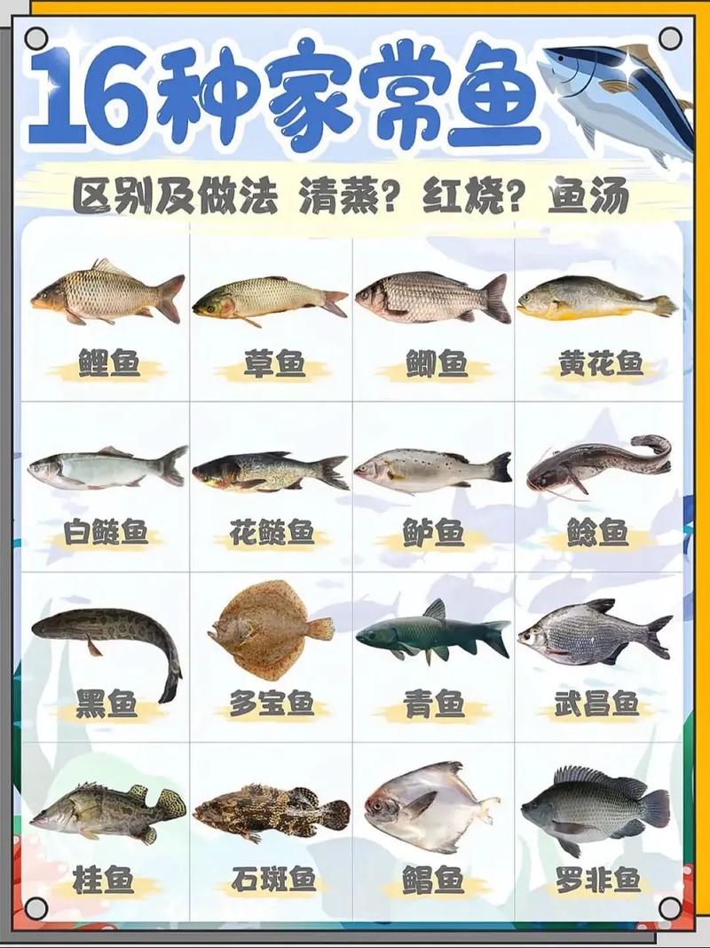 家常海鲜鱼做法有哪些？-图2