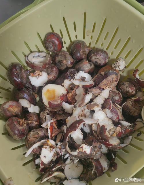 海鲜荸荠同食会相克吗?-图2 海鲜荸荠同食会相克吗?-图2