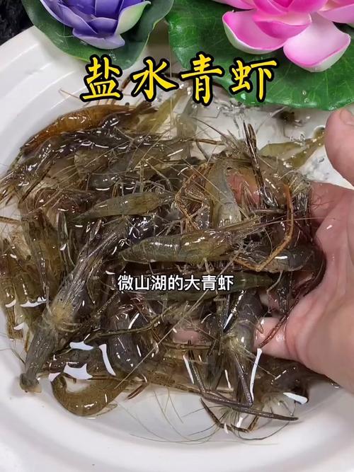 大青虾家常做法有哪些?-图3 大青虾家常做法有哪些?-图3