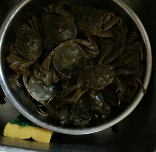 家常河蟹怎么做？家常做法有哪些？-图2