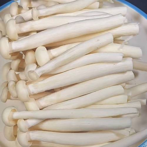 海鲜菇胡萝卜芹菜怎么搭配最鲜？-图3