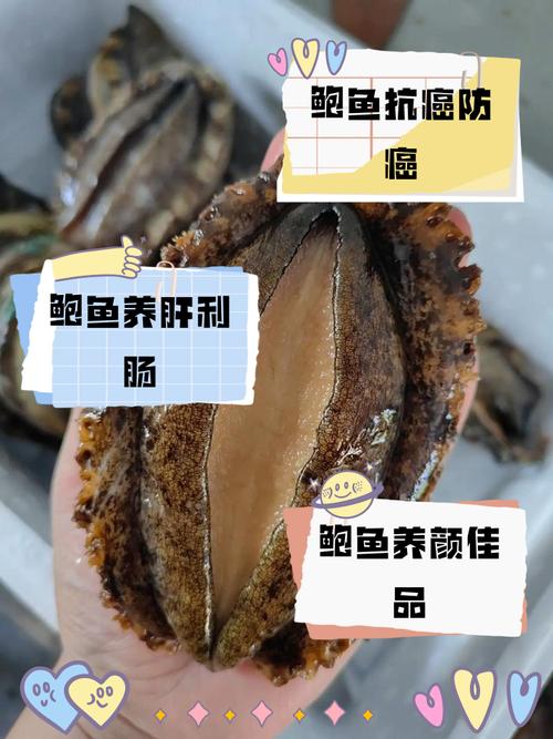 鲍鱼是海鲜,生病能吃吗?-图3 鲍鱼是海鲜,生病能吃吗?-图3