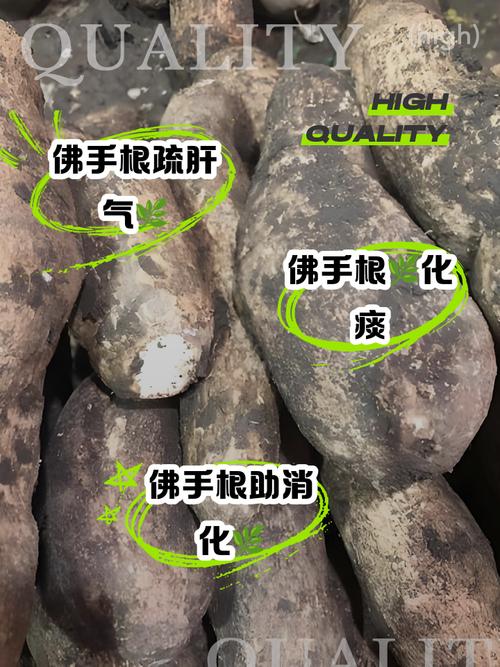 红薯根怎么做?家常做法有哪些?-图2 红薯根怎么做?家常做法有哪些?-图2