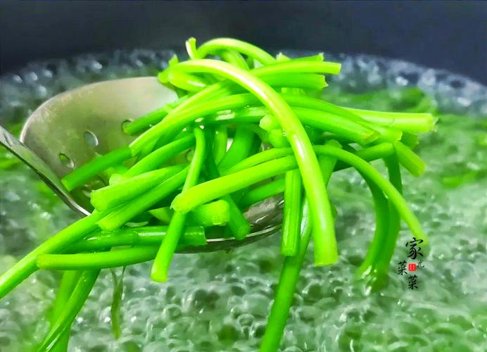 红薯根怎么做?家常做法有哪些?-图3 红薯根怎么做?家常做法有哪些?-图3