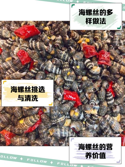 海鲜螺丝煮放什么佐料？-图2