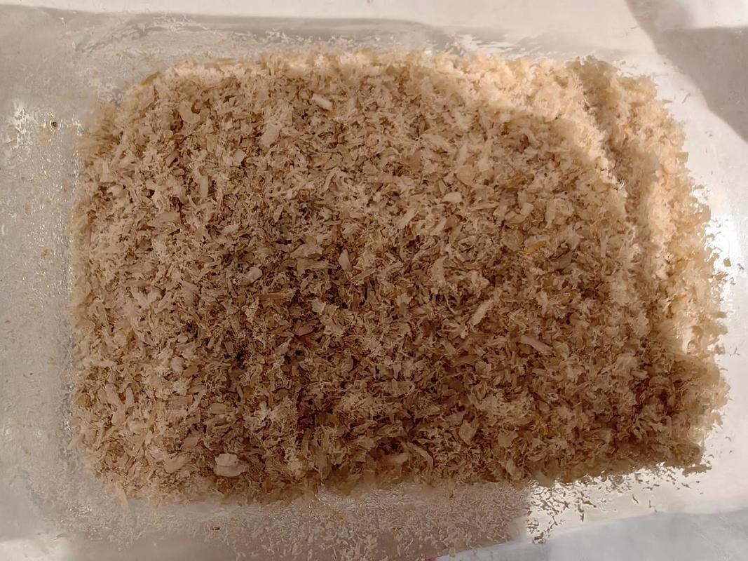 6月龄宝宝能吃肉松吗？-图3