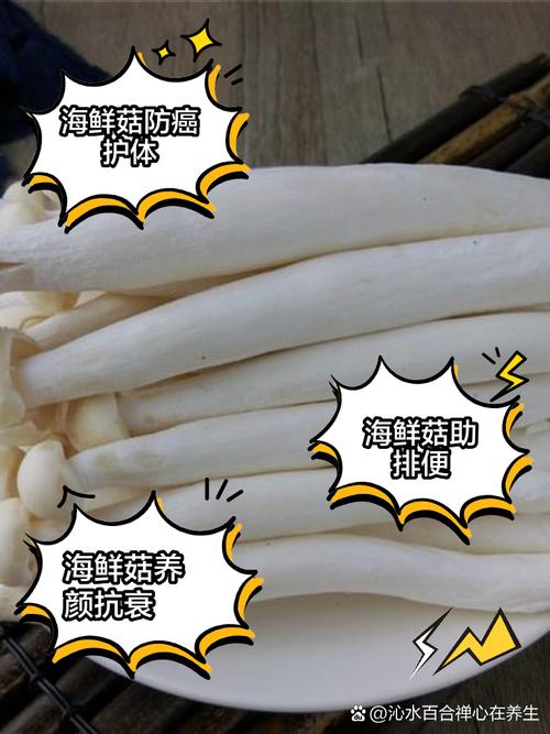 海鲜菇坏了什么味?-图3 海鲜菇坏了什么味?-图3