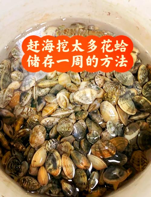 海鲜怎么保存才新鲜？-图1