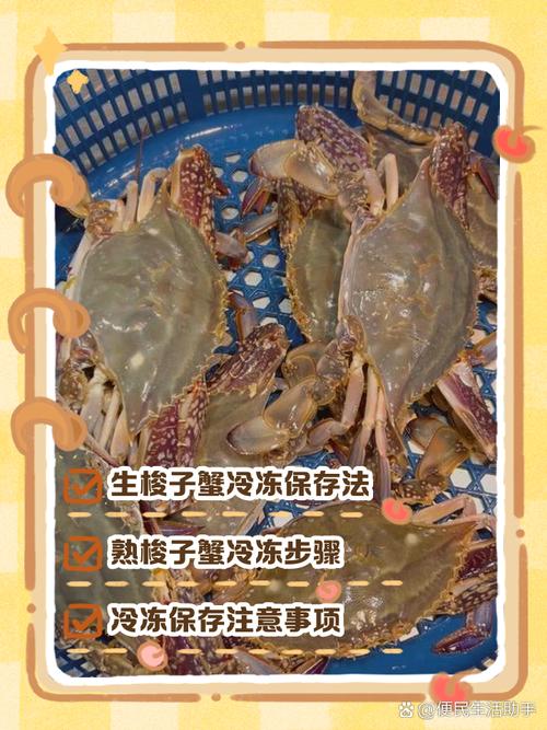 海鲜怎么保存才新鲜？-图2