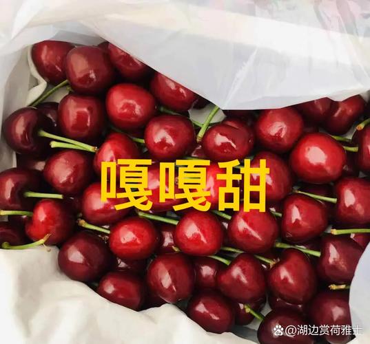 嘎鱼究竟是海鲜还是河鲜？-图3