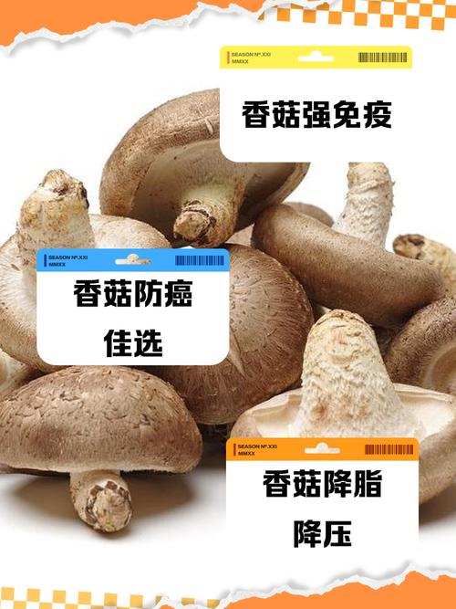 10月宝宝能吃香菇吗？-图2