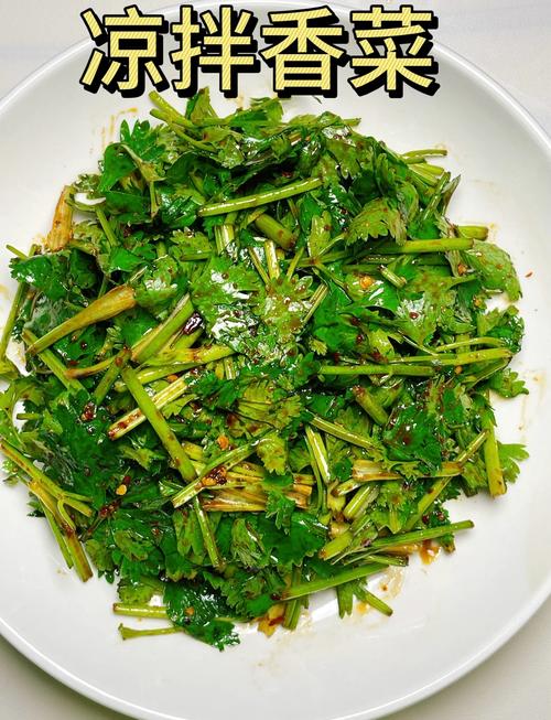 香菜家常做法有哪些?-图1 香菜家常做法有哪些?-图1