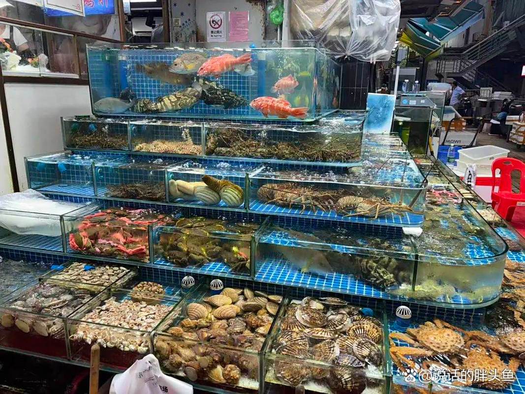 黄沙海鲜市场人均消费多少?-图2 黄沙海鲜市场人均消费多少?-图2