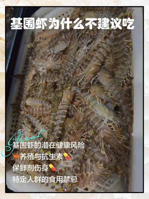 一岁宝宝能吃基围虾吗?需注意什么?-图1 一岁宝宝能吃基围虾吗?需注意什么?-图1