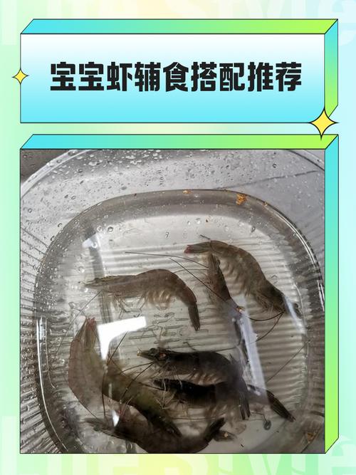 一岁宝宝能吃基围虾吗?需注意什么?-图2 一岁宝宝能吃基围虾吗?需注意什么?-图2