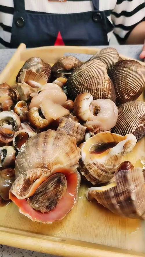 贝壳内海鲜有哪些?-图2 贝壳内海鲜有哪些?-图2