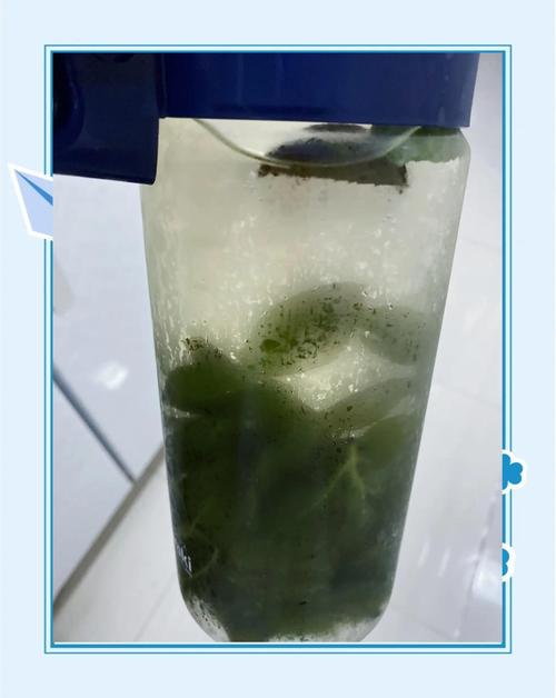 绿豆酱家常做法有哪些？-图2