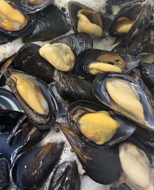 活贝壳类海鲜图片，如何辨别鲜活状态？-图3