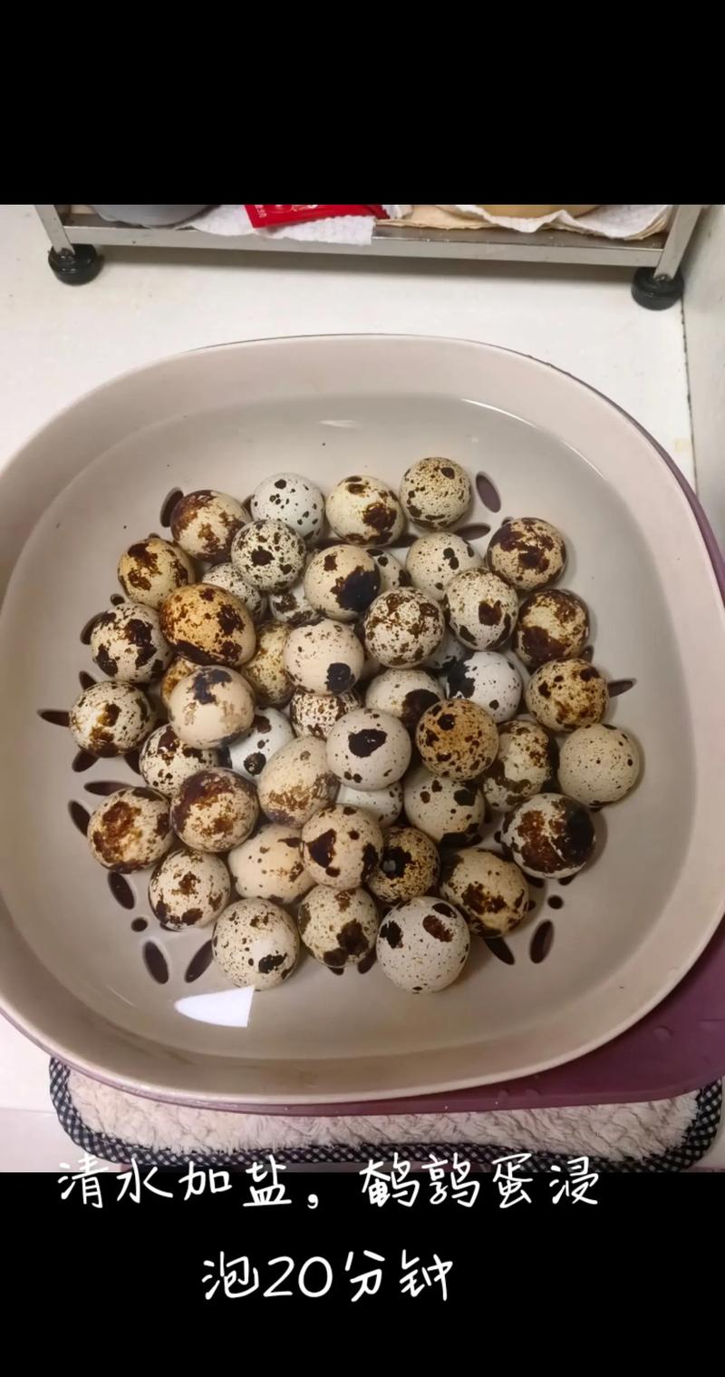 八个月宝宝能吃鹌鹑蛋吗？-图2