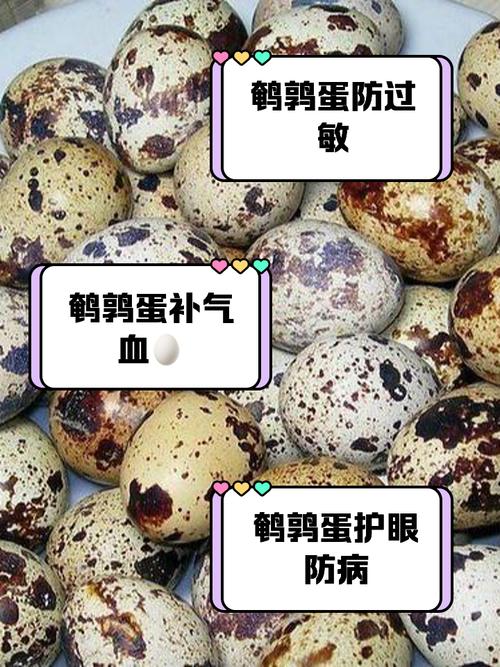 八个月宝宝能吃鹌鹑蛋吗？-图3