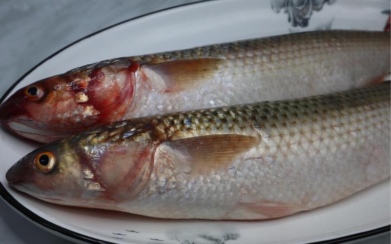 梭鱼酱家常做法有哪些？-图3