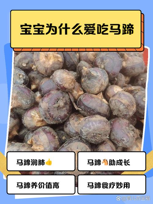 九个月宝宝能吃马蹄吗?-图2 九个月宝宝能吃马蹄吗?-图2