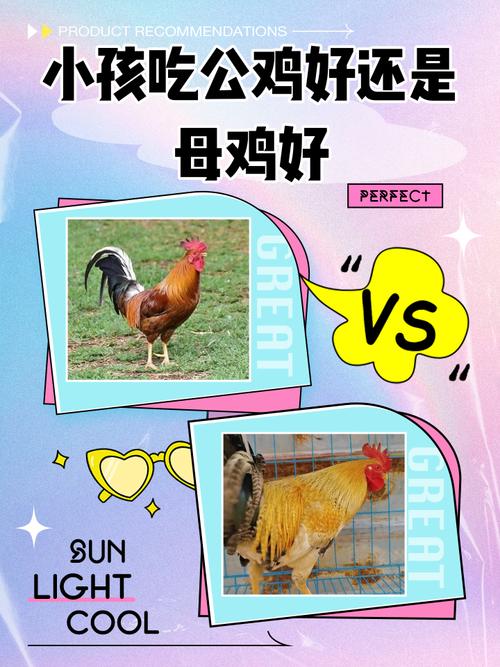 十个月宝宝能吃鸡肉吗？-图1