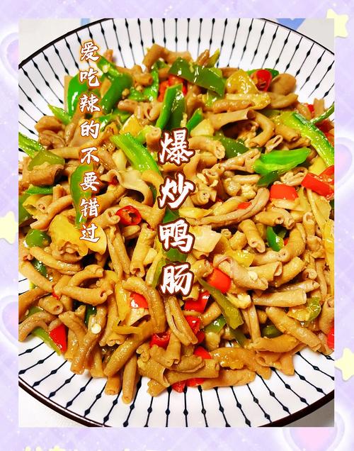 肥肠鸭家常做法有哪些?-图1 肥肠鸭家常做法有哪些?-图1