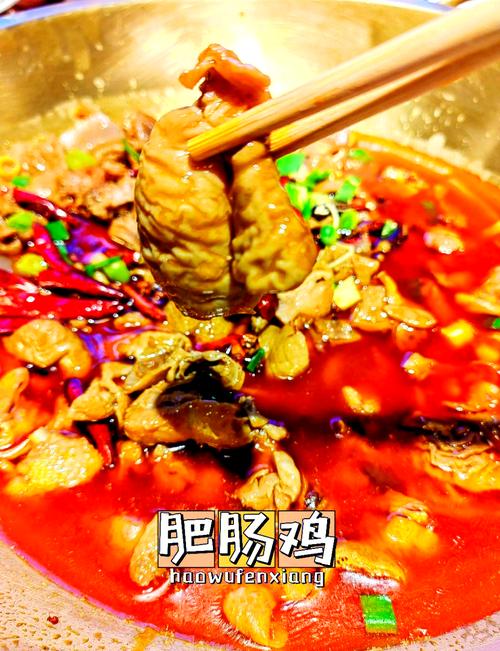 肥肠鸭家常做法有哪些?-图3 肥肠鸭家常做法有哪些?-图3