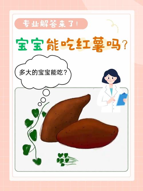 一岁宝宝能吃红薯吗？-图1